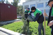 “Green Space” – Preserving Nature, Creating the Future