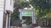 Diqqat, e'lon! Mehnat ta'tili munosabati bilan sanatoriy yo'llanmalari taqdim etilmoqda