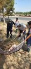 Plogging – A Step for Health and the Environment!