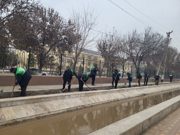 "Green Space": Foundation for the Future
