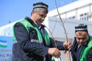 Зелёный край: Экологическая устойчивость и общенациональная ответственность